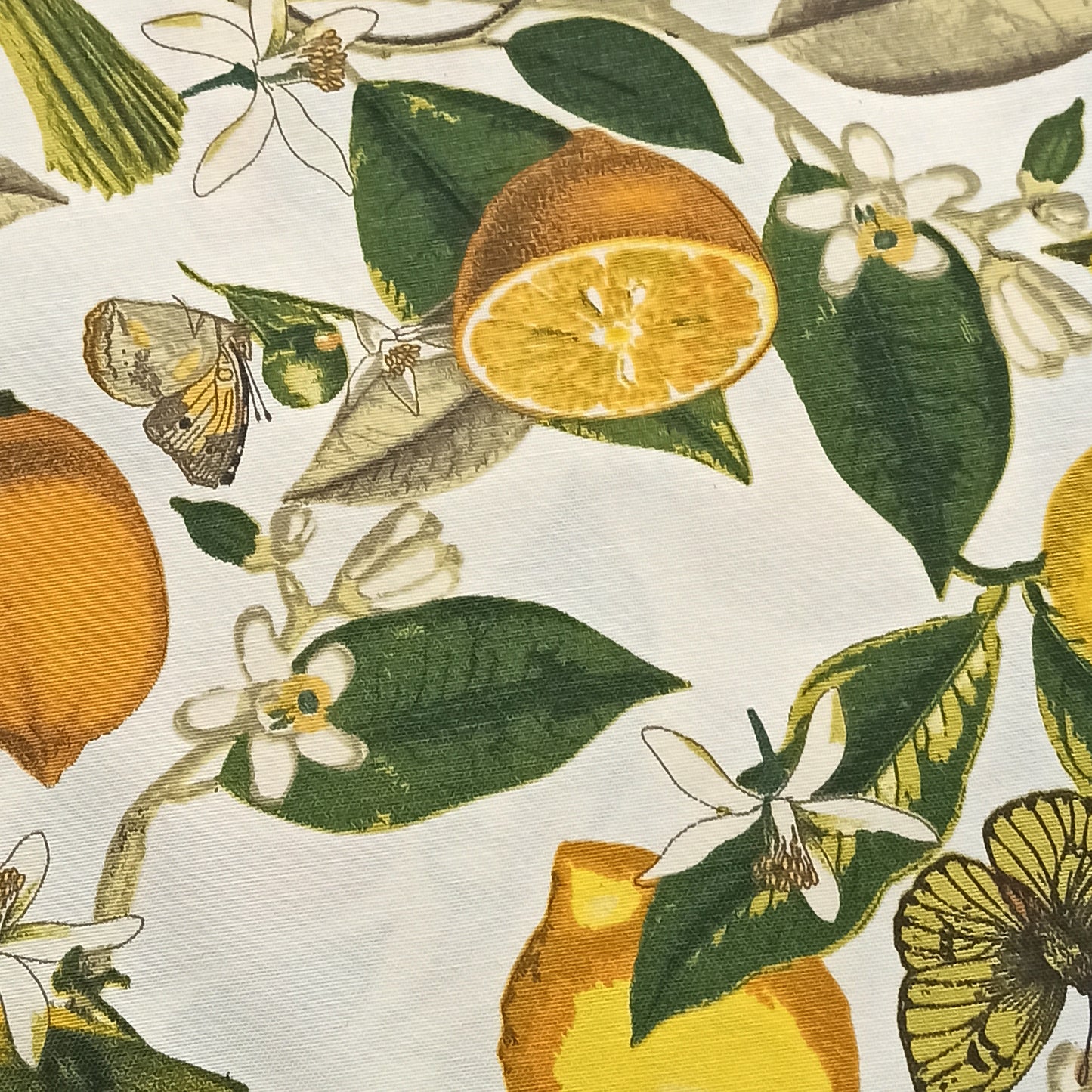 Placemats Fabric Waterproof Floral (set of 2) Size: 12in X 16in (30cm X 40cm) Lemons