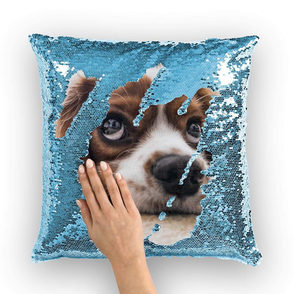 Dog discount sequin pillow