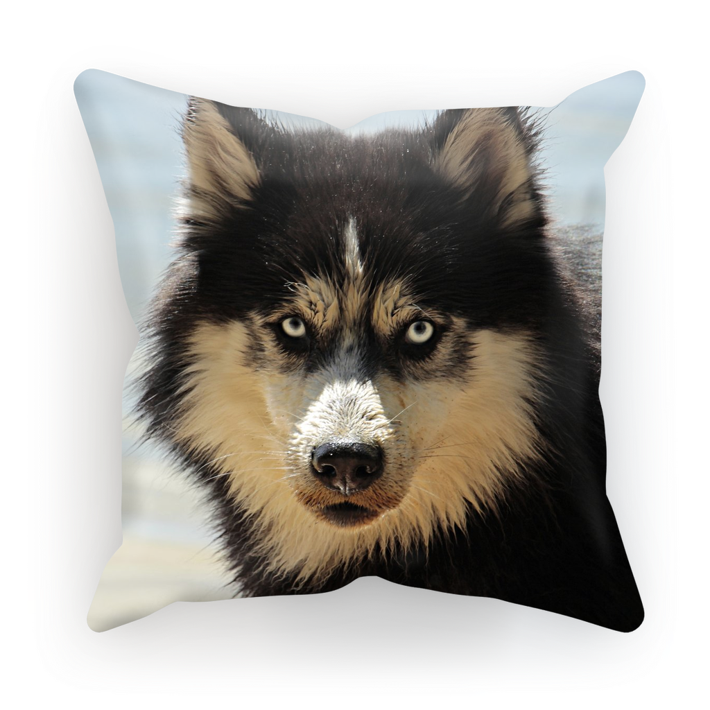 Dog Husky Gifts for Dog Lovers Printed Cushion Covers Media 1 of 1