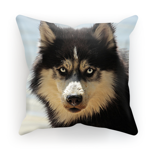 Dog Husky Gifts for Dog Lovers Printed Cushion Covers Media 1 of 1